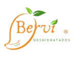 logo bervi